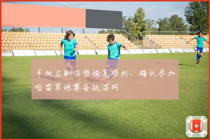 辛纳左脚伤势恢复顺利，确认参加哈雷草地赛备战温网